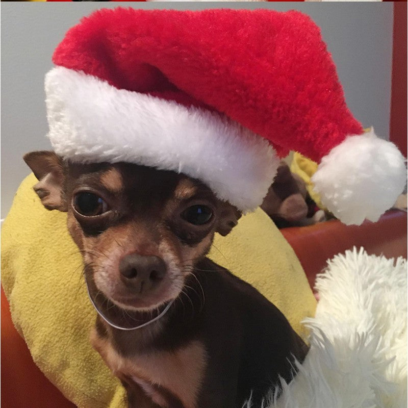 Make Your Pet Look Festive This Christmas with a Soft Santa Hat! for Stocking Stuffers