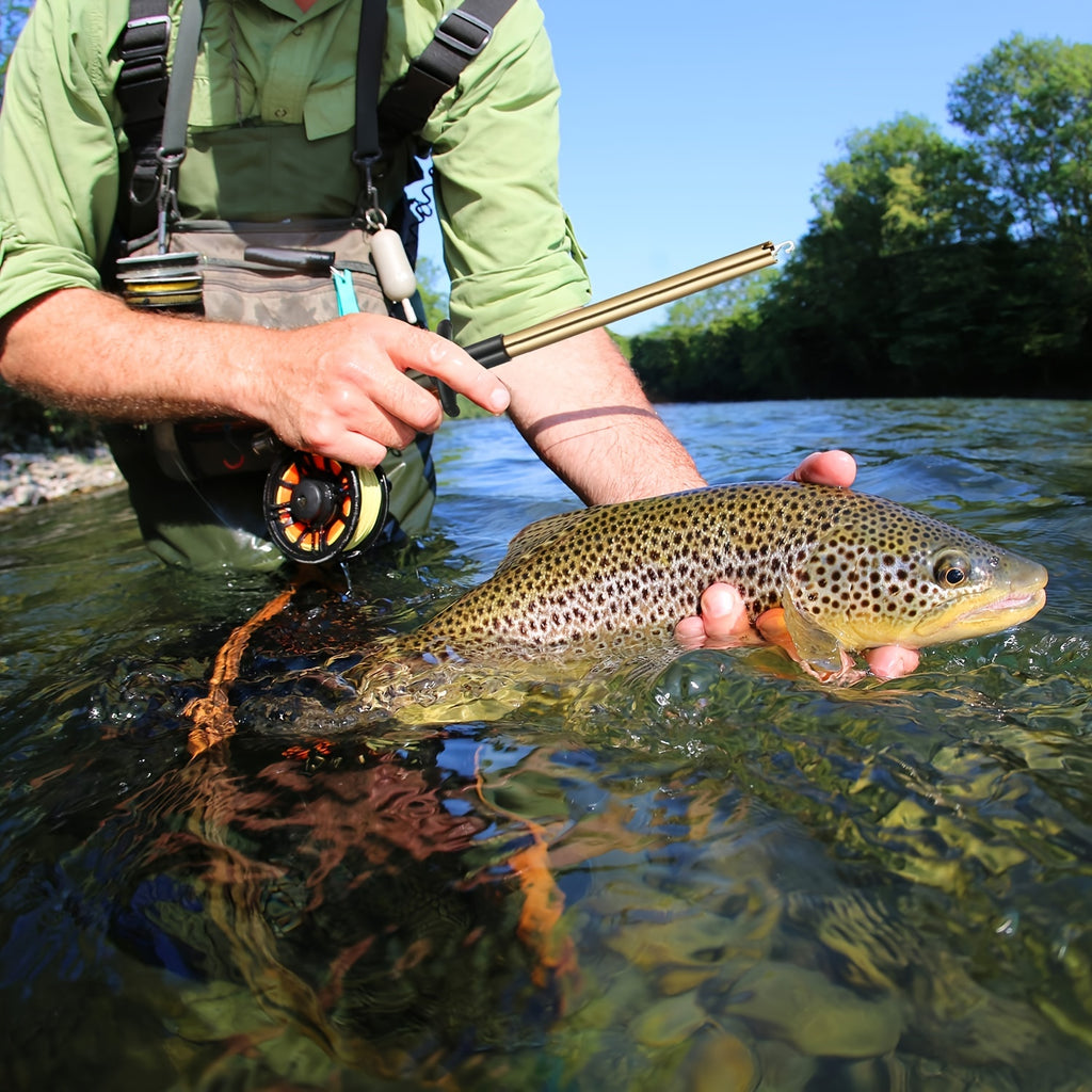 1pc T-Shaped Fish Hook Remover - Aluminum Alloy Fishing Tool with Ergonomic Handle & Blue Handle for Efficient Hook Separation, Ideal for Holiday Gifts (Father'S Day, Christmas, Thanksgiving), Fishing Accessory, Sleek Metalli