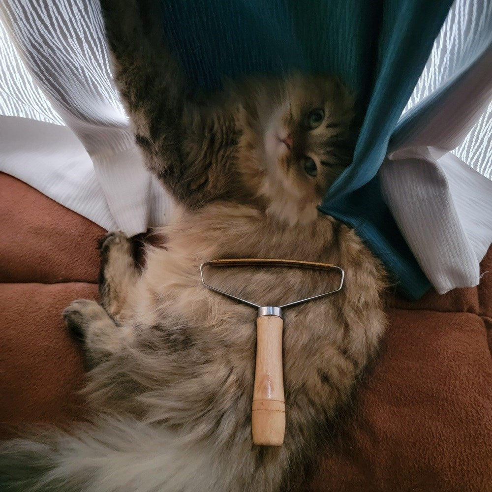Effective Pet Hair Remover Brush For Cats And Dogs - Gently Shaves Wool And Cleans Fur For A Neat And Tidy Home