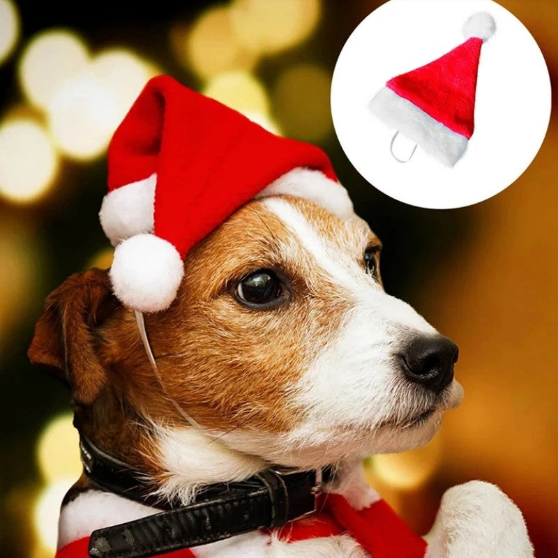 Make Your Pet Look Festive This Christmas with a Soft Santa Hat! for Stocking Stuffers