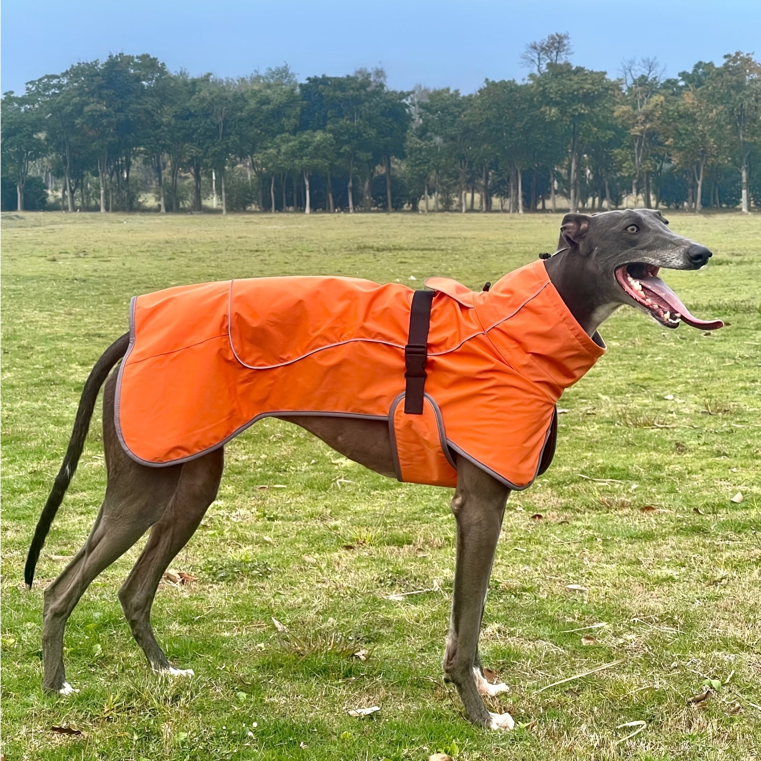 Double-Layer Winter Dog Jackets, Dog Coats For Large Dogs In Winter, Dog Raincoat - Waterproof Dog Clothes Christmas Gift