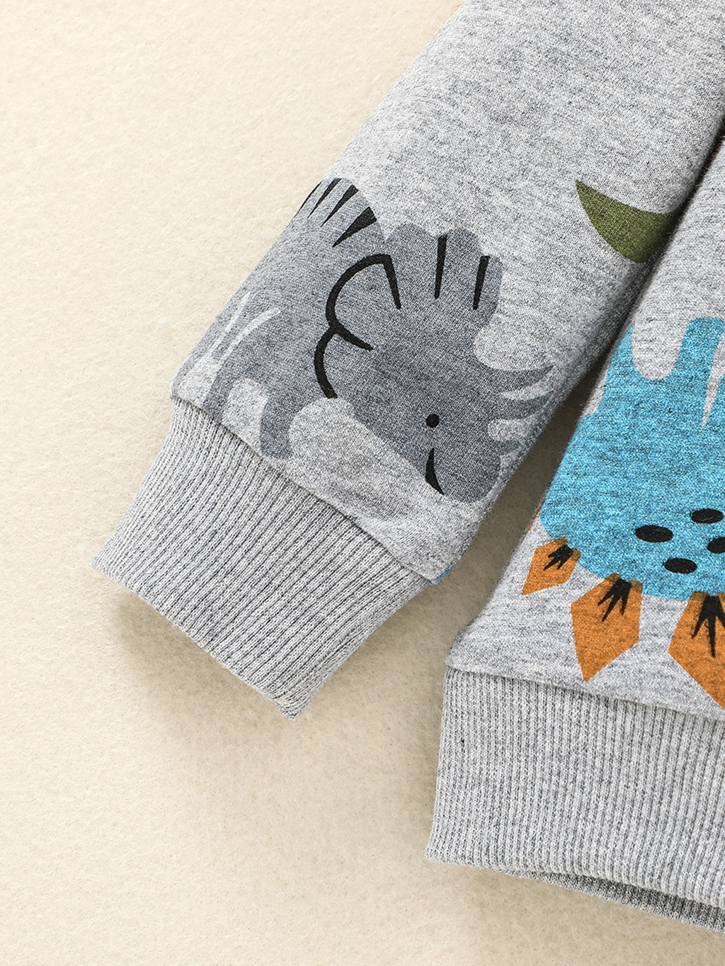 Boys Dinosaur Print Pullover Hoodie + Pants Outdoor Set Outfit Baby outdoor clothes