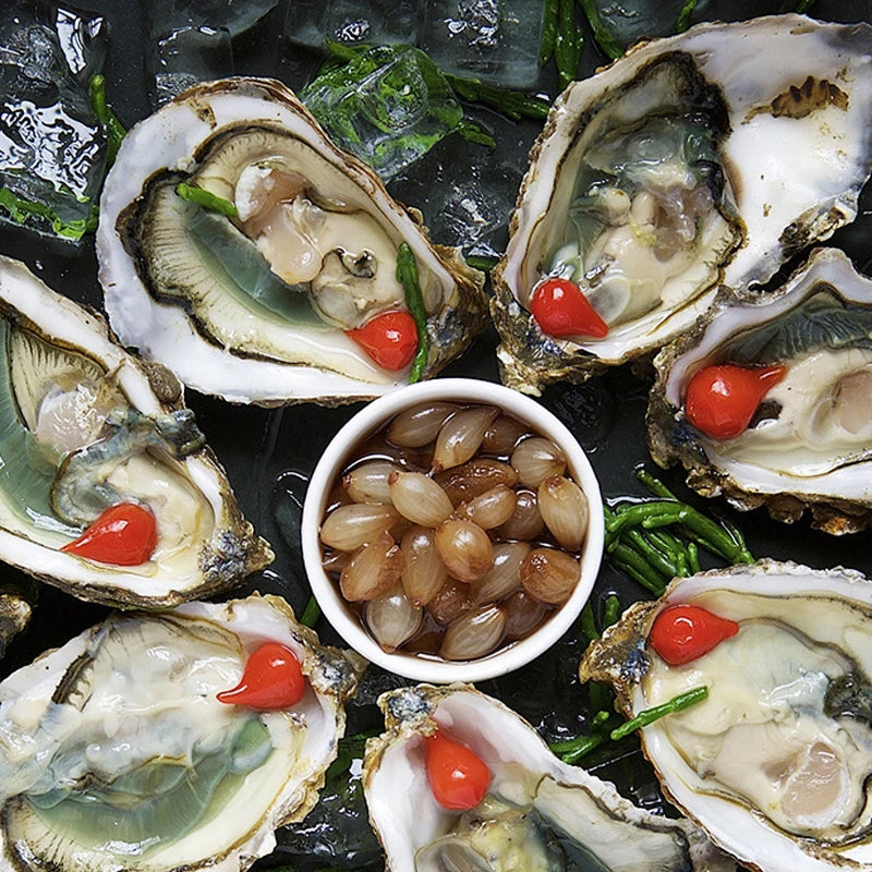 Electric Mini Garlic Masher USB Garlic Chopper Machine Ginger Vegetable Crusher Food Vegetable Processor Chili Chopper Masher