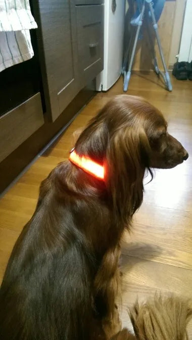 YUDODO Nylon LED Pet Dog Collars for animals Night Safety Flashing Glow Dog Leash Dogs Luminous Fluorescent Collars Pet Supplies