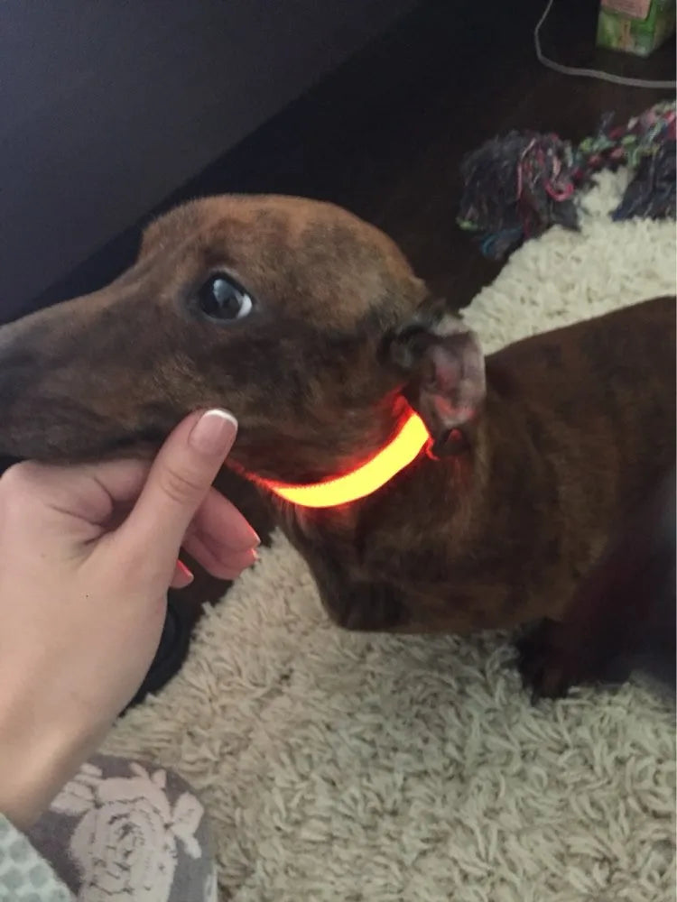 YUDODO Nylon LED Pet Dog Collars for animals Night Safety Flashing Glow Dog Leash Dogs Luminous Fluorescent Collars Pet Supplies