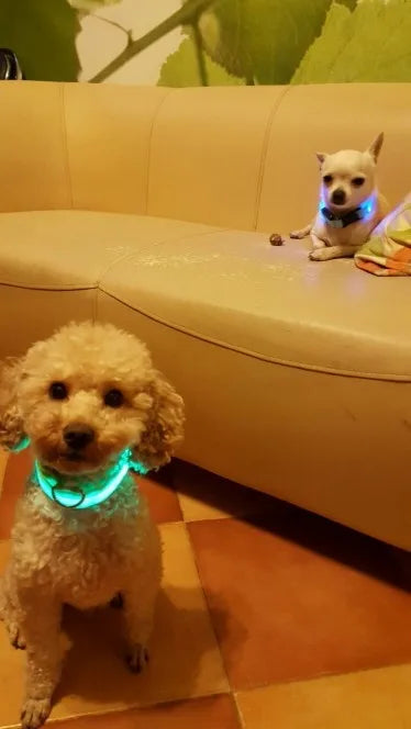 YUDODO Nylon LED Pet Dog Collars for animals Night Safety Flashing Glow Dog Leash Dogs Luminous Fluorescent Collars Pet Supplies
