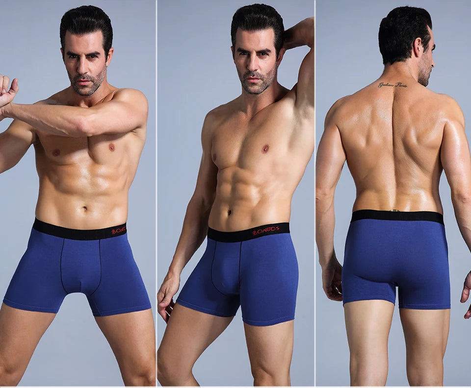 Mens Boxer Shorts Men's Boxers Panties Man Underwear Men Underpants Calecon Homme Cotton Boxershorts 2020 Brand Sexy