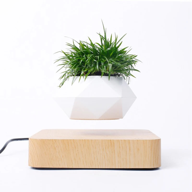 Magnetic suspension flower pot Levitating Air Bonsai Pot plant pot succulent pot patio decoration Desktop Flower/Green Plant
