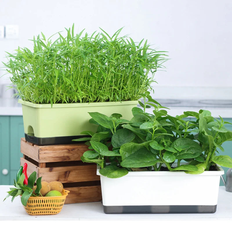 Second Generation Thickened Hollen Pot Self-priming Water Breathable Rectangular Vegetable Pots Home Garden Balcony Planting Box