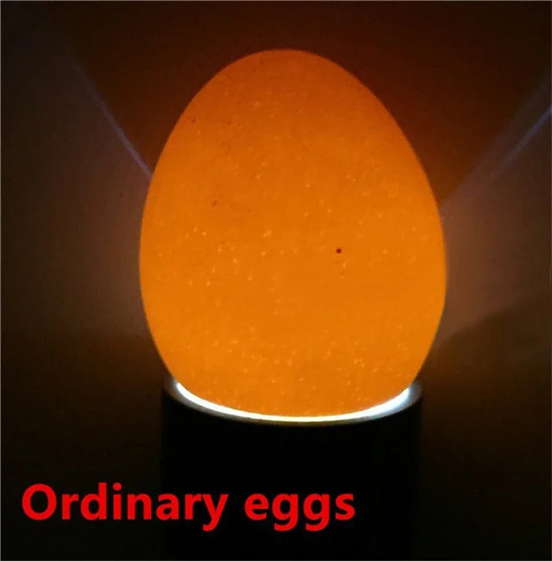 Incubator Eggtester Egg Candling Lamp 9 LED Super Cold Incubation Equipment Chicken Tool  LED Eggtester Egg Light 1Pc