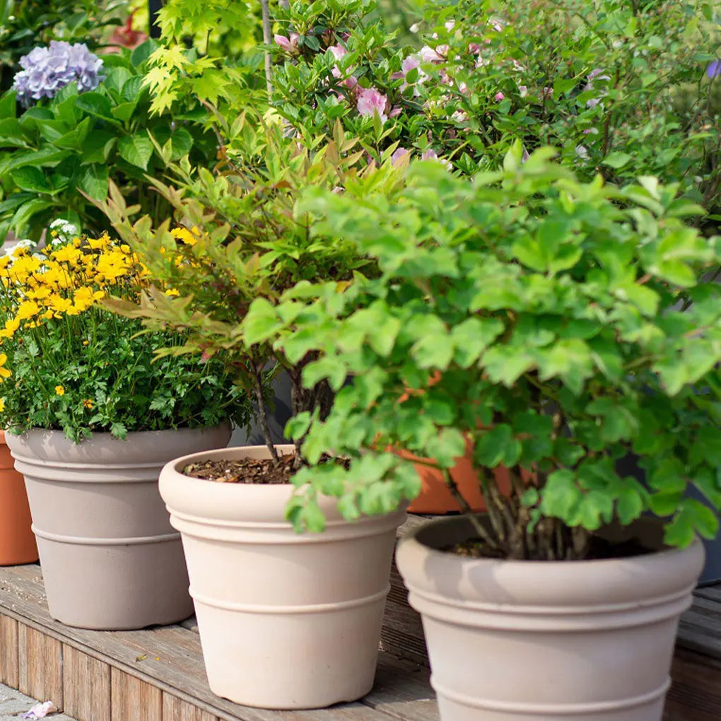 Garden Pot Is Firm And Durable- Terracotta Flower Pot Not Easy To Deformation Flower Pots Widely brownness 29.9*19*26.7cm 600g