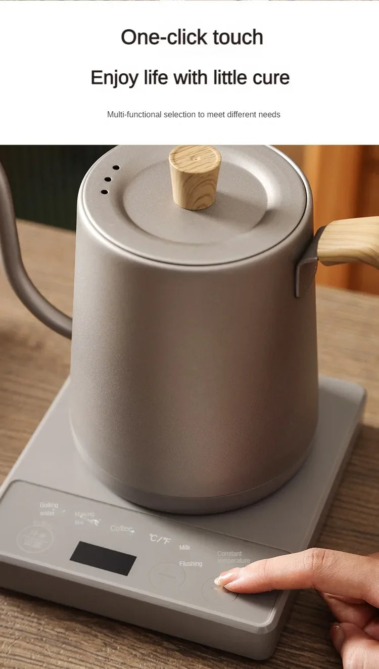 1000W Slim Mouth Pot Temperature Control Water Pot Tea Pot 220V Gooseneck Electric Coffee Pot Manual Brewing Coffee Pot