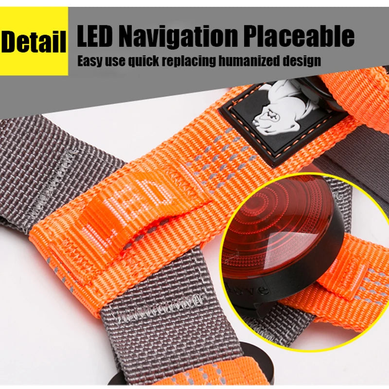 Truelove Pet Harness Adjustable Reflective Nylon with Collar Leash LED Light Neoprene Padded Hiking Running TLH6171 Dropshipping