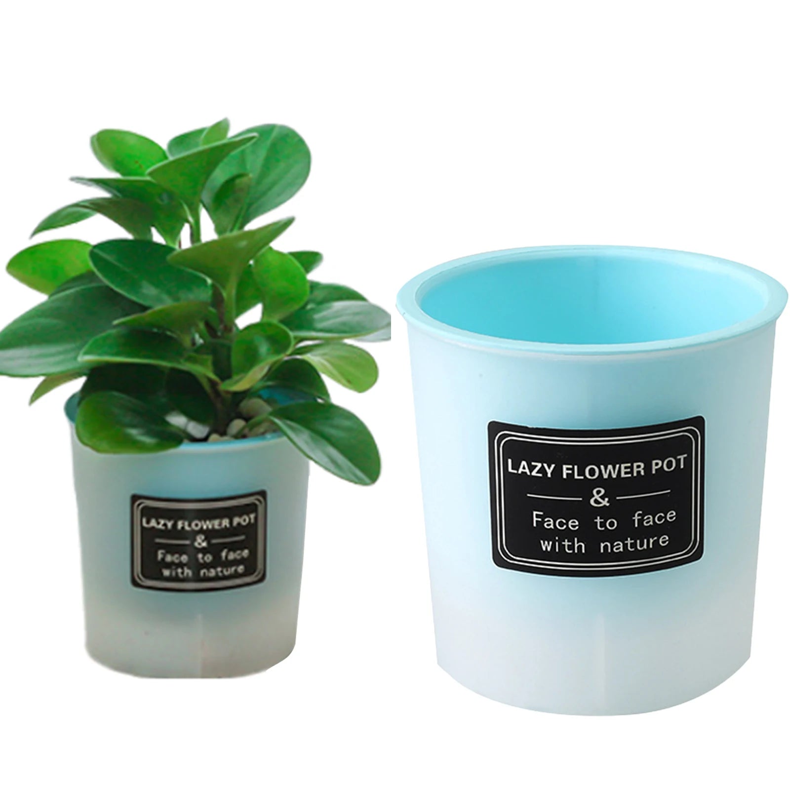 Translucent and Detachable Flower Pot No Deformation Pretty Flower Pot Plant Roots Breathing Draining Better Self-watering