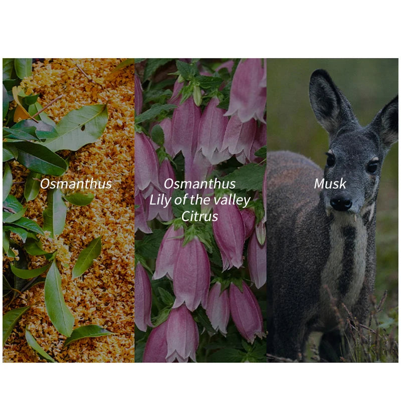 Fresh Natural Women' Perfume Long-lasting Jasmine Fragrance Eau De Toilette Fresh Antiperspirant Body Spray Sexy Charm Fragrance