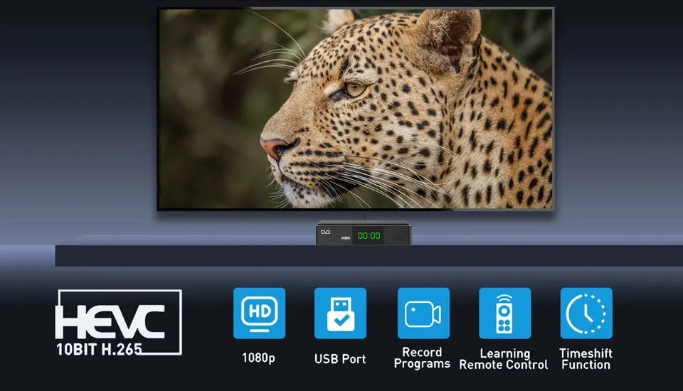 JN812 H.265 TDT DVB-T2 C Digital Terrestrial TV Receiver HD DVB-T2 FTA Set Top Box EPG USB PVR TV Tuner for HD/Old TV