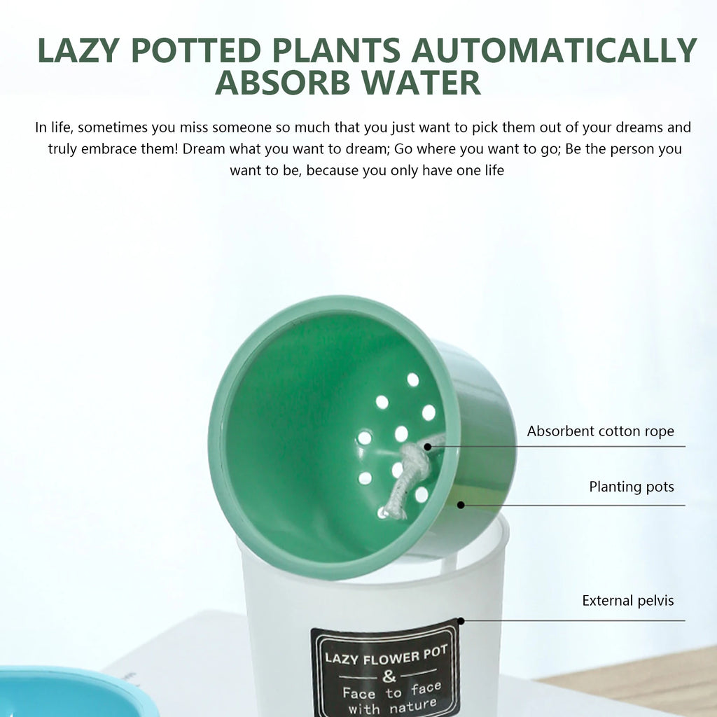 Translucent and Detachable Flower Pot No Deformation Pretty Flower Pot Plant Roots Breathing Draining Better Self-watering