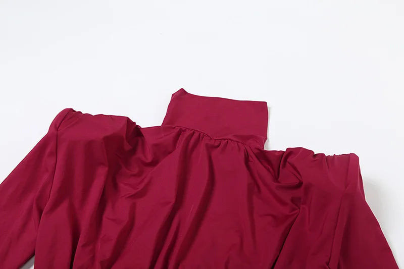 Women's Clothing 2025 Autumn And Winter New Fashion Temperament High Neck Pleated Waist Slim Hip Wrap Long Sleeve Dress Women