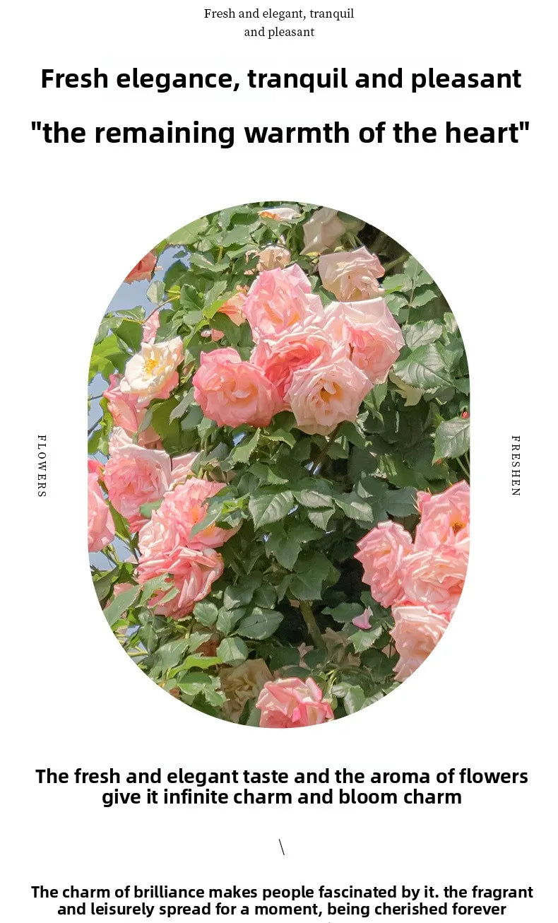 30ml Parisian Ladies Perfume Fresh Elegant Luxury Light Fragrance Natural Spary Floral Scent Party Eau De Parfum For Women