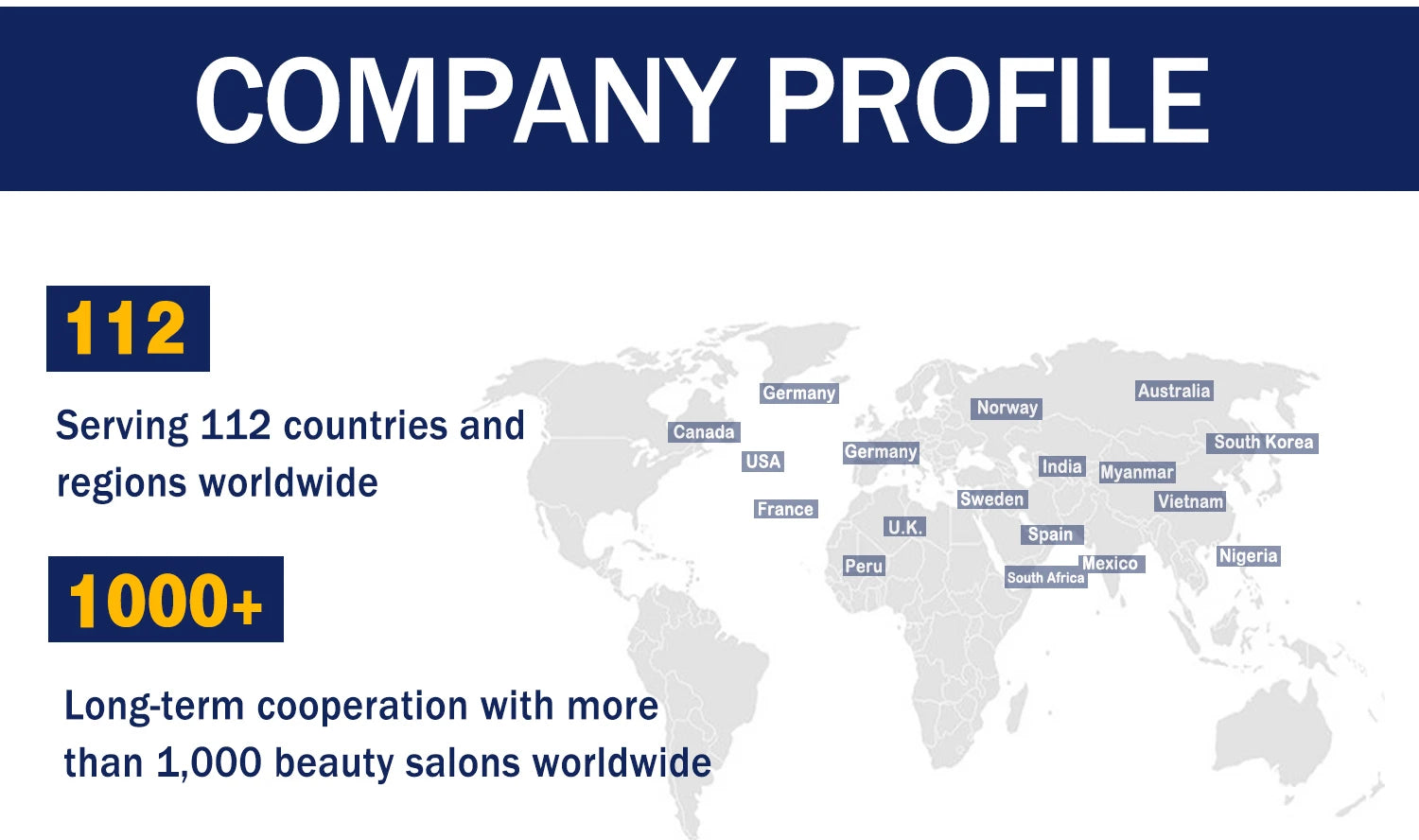 CoMango Wispy Pointy Base Premade Russian Volume Fans 3D 6D 10D 12D 14D 16D Lashes Extension 300 Fans False Mink Eyelashes