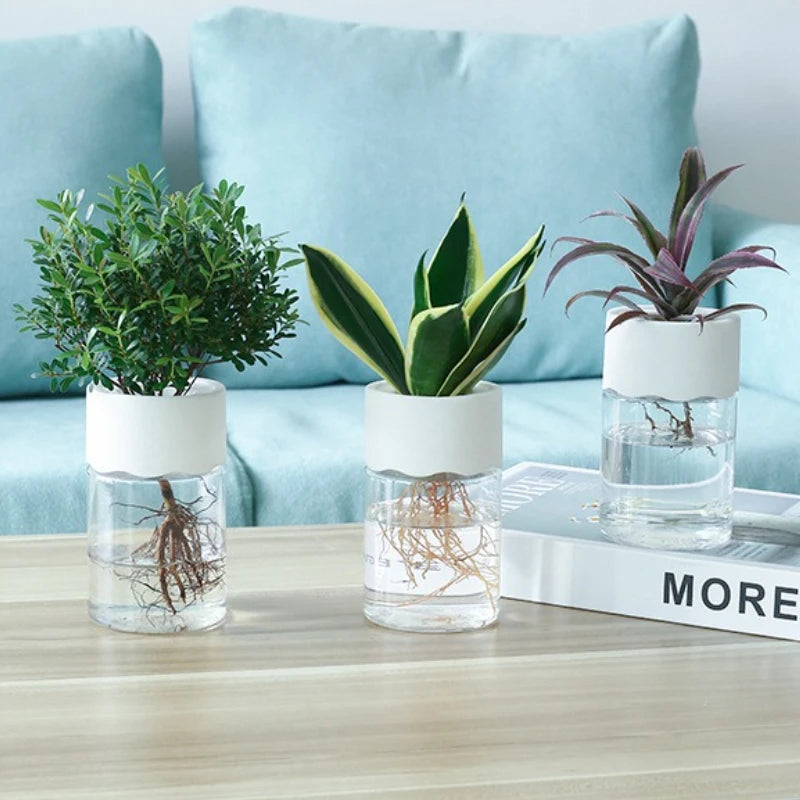 1pc Transparent Hydroponic Pot for Pothos Cuttings Plastic Flower Vase Round Container Living Room & Office Home Decor