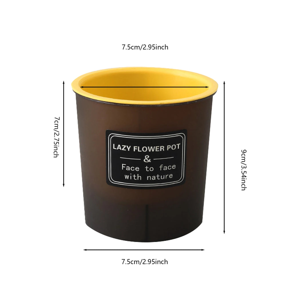 Translucent and Detachable Flower Pot No Deformation Pretty Flower Pot Plant Roots Breathing Draining Better Self-watering