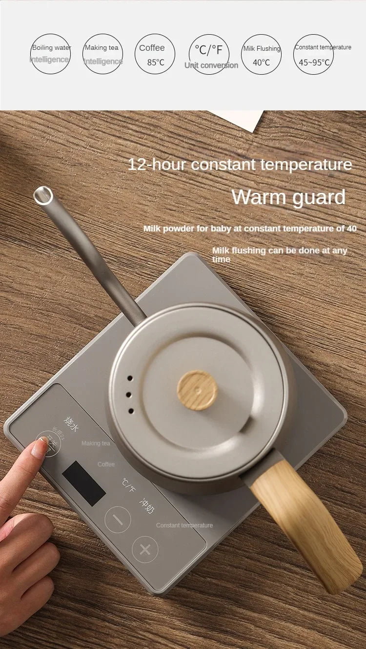 1000W Slim Mouth Pot Temperature Control Water Pot Tea Pot 220V Gooseneck Electric Coffee Pot Manual Brewing Coffee Pot