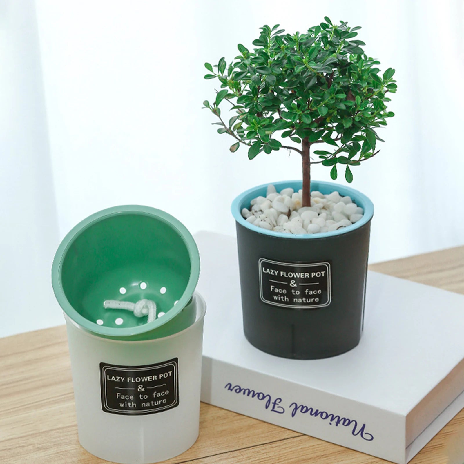 Translucent and Detachable Flower Pot No Deformation Pretty Flower Pot Plant Roots Breathing Draining Better Self-watering