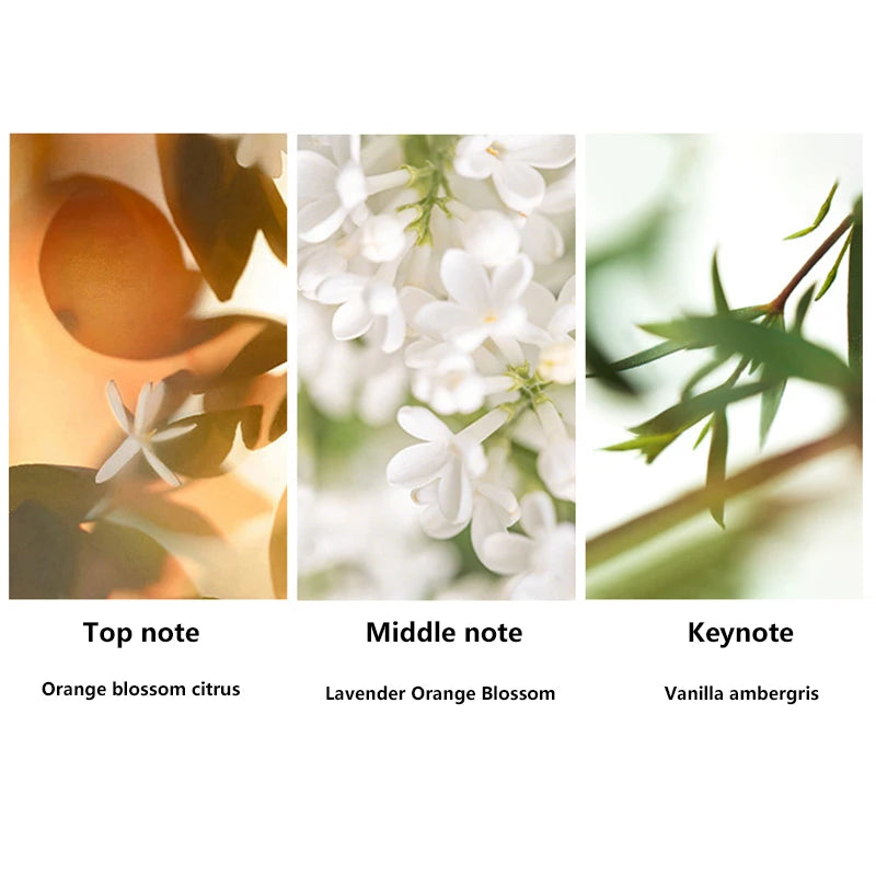 High Quality 90ml Men Perfume Hombre Gift Box 3pcs Set Colognes Scent Fascination Man Perfumes Masculinos Lasting Parfum New