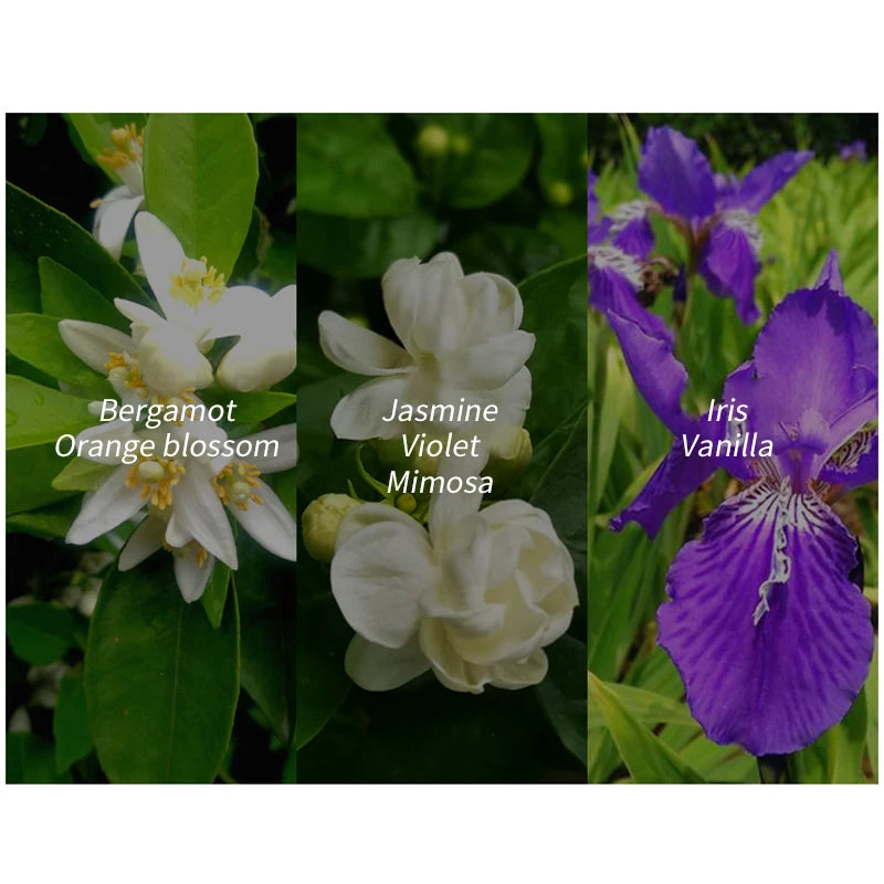 Fresh Natural Women' Perfume Long-lasting Jasmine Fragrance Eau De Toilette Fresh Antiperspirant Body Spray Sexy Charm Fragrance