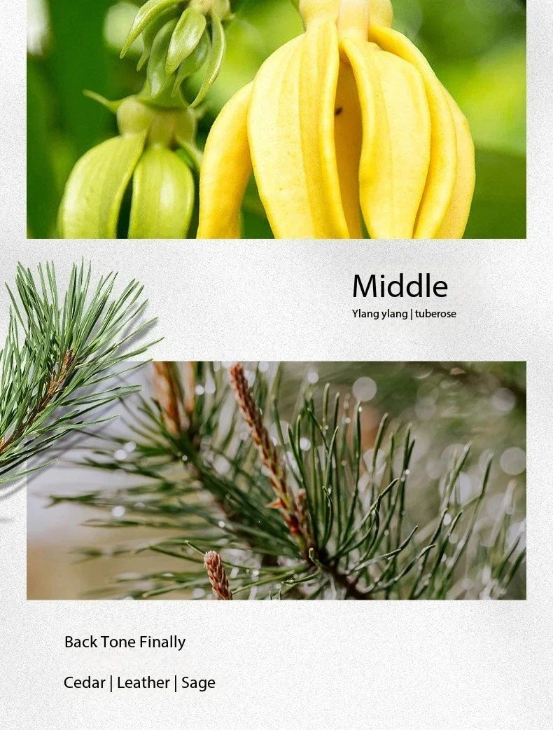 100ML Brand Men's Elixir Inspired Perfume-Amber Fougere & Spicy Woody Fragrance, Long Lasting Sexy Scent for Attracting woman