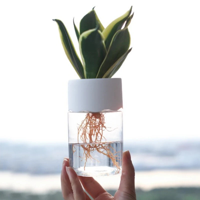 1pc Transparent Hydroponic Pot for Pothos Cuttings Plastic Flower Vase Round Container Living Room & Office Home Decor