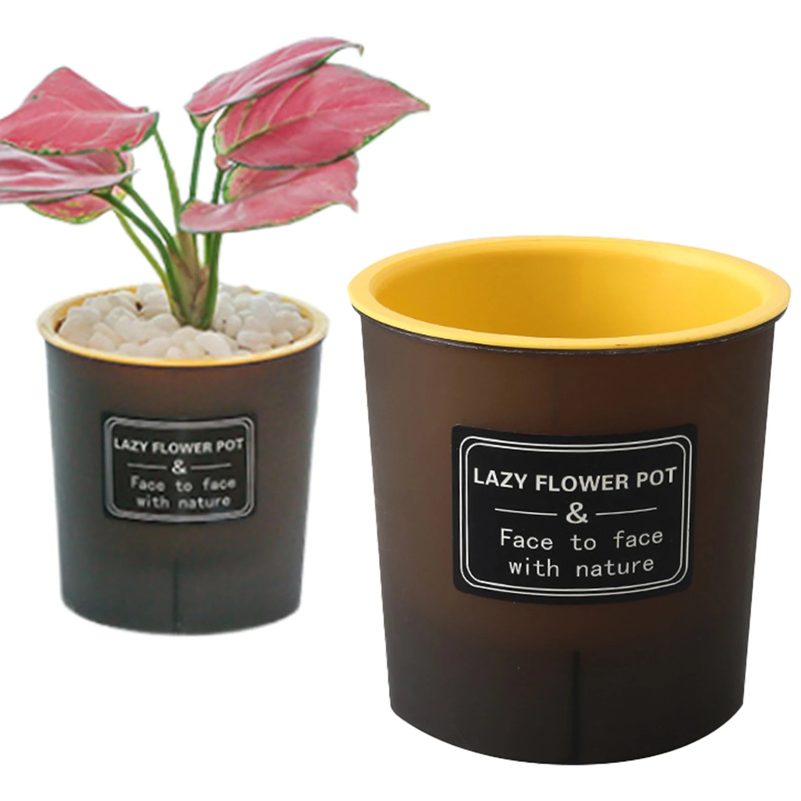 Translucent and Detachable Flower Pot No Deformation Pretty Flower Pot Plant Roots Breathing Draining Better Self-watering