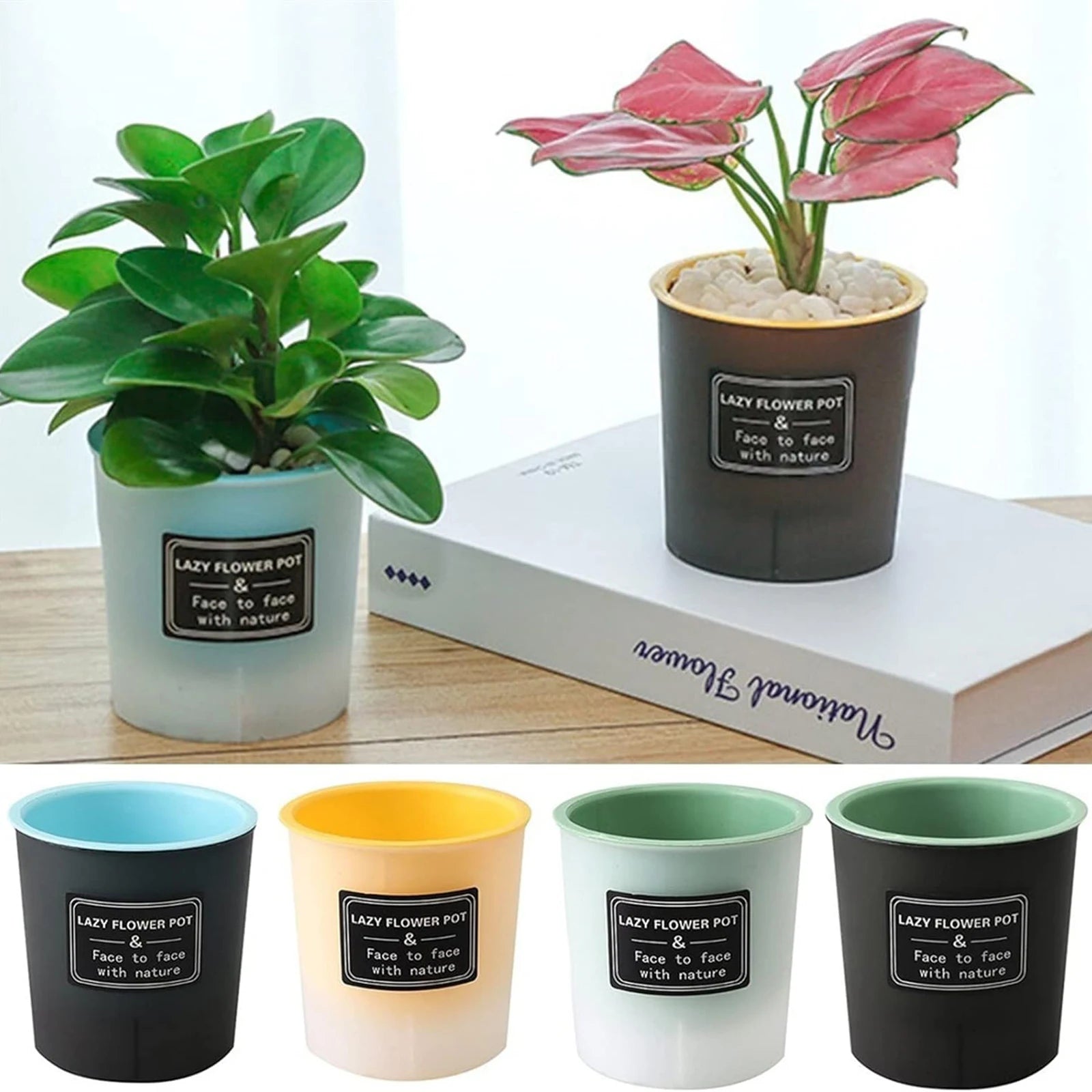 Translucent and Detachable Flower Pot No Deformation Pretty Flower Pot Plant Roots Breathing Draining Better Self-watering