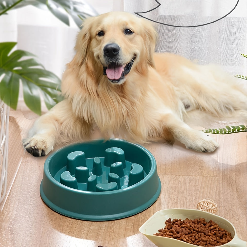 Slow Feeder and Water Bowl Station Set for Dogs and Cats - Promotes Healthy Eating Habits and Hydration