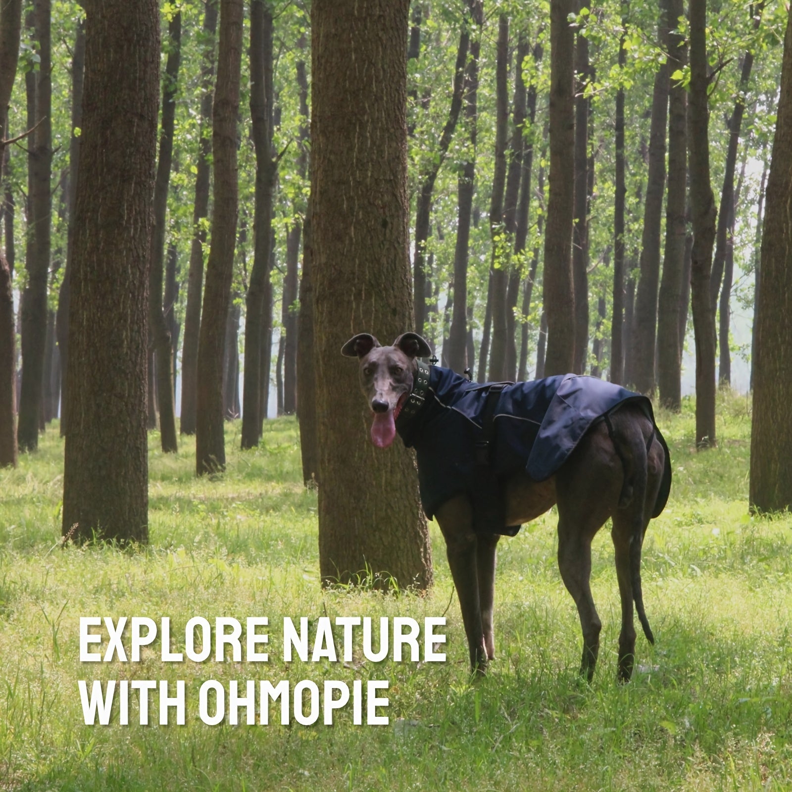 Double-Layer Winter Dog Jackets, Dog Coats For Large Dogs In Winter, Dog Raincoat - Waterproof Dog Clothes Christmas Gift