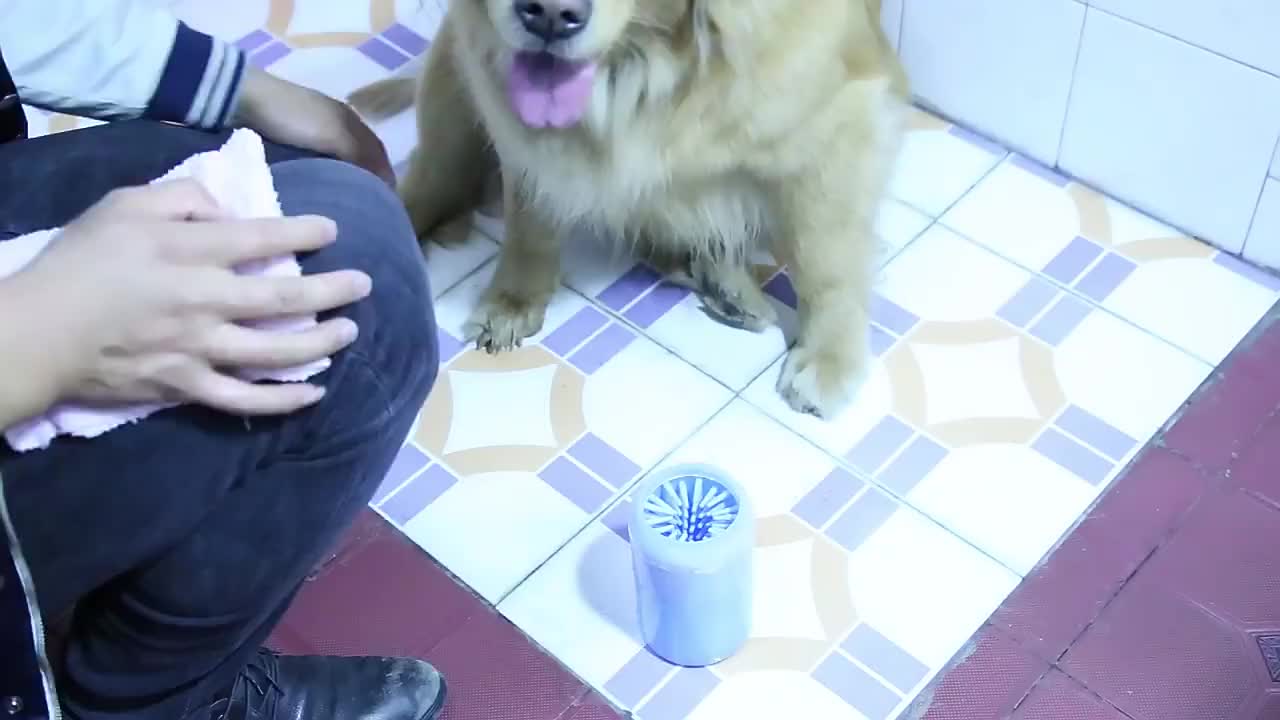 Portable Soft Silicone Pet Paw Cleaner Cup with Brush - Turquoise & Black Dog & Cat Paws Washing Cup, Non-Slip Base, Easy-Clean Durable Design for Indoor/ Use, Dirt & Debris Remover for Paws Before/After Walks, Dog Grooming,