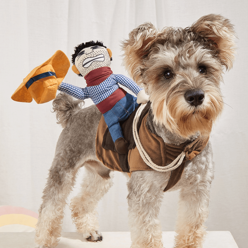Funny Cowboy Rider Pet Costume for Small and Medium Dogs and Cats - Perfect for Halloween and Costume Parties